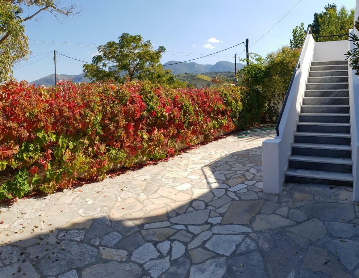 Kostas' Garden * Roda (Corfu)